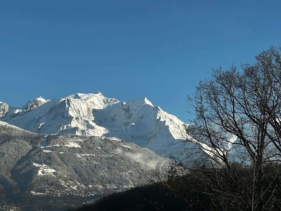 Apartment Appartement A Megeve Demi-Quartier
